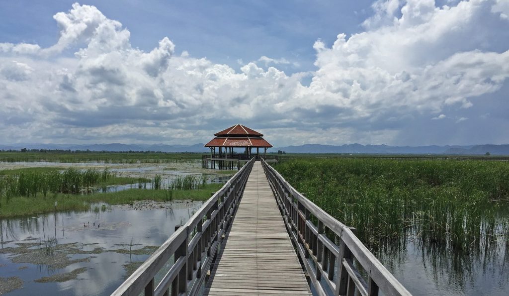 Wasservögel im Nationalpark Khao Sam Roi Yod - Thailand